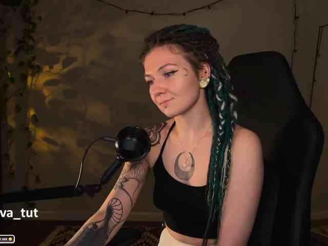 SOVA_tut webcam