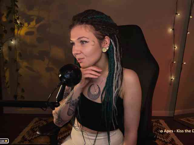 SOVA_tut webcam