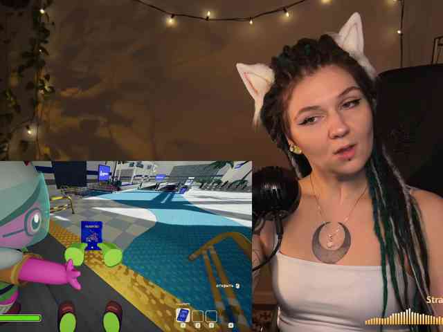 SOVA_tut webcam