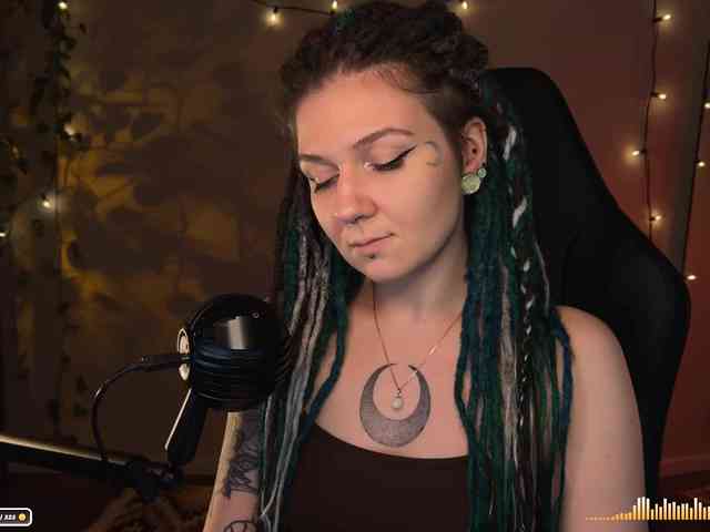 SOVA_tut webcam