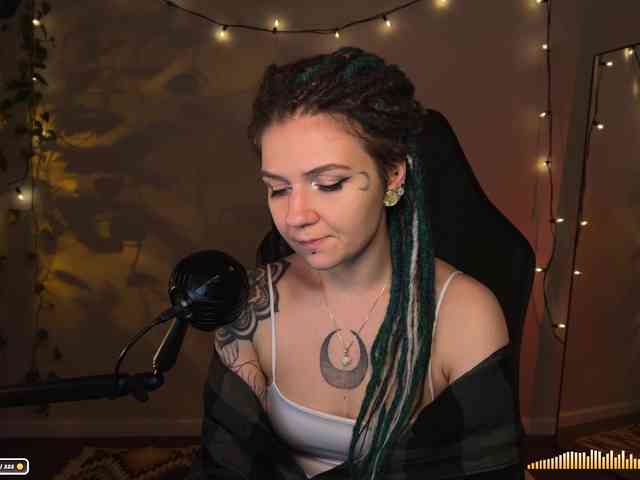 SOVA_tut webcam