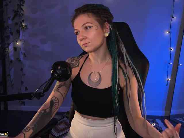 SOVA_tut webcam