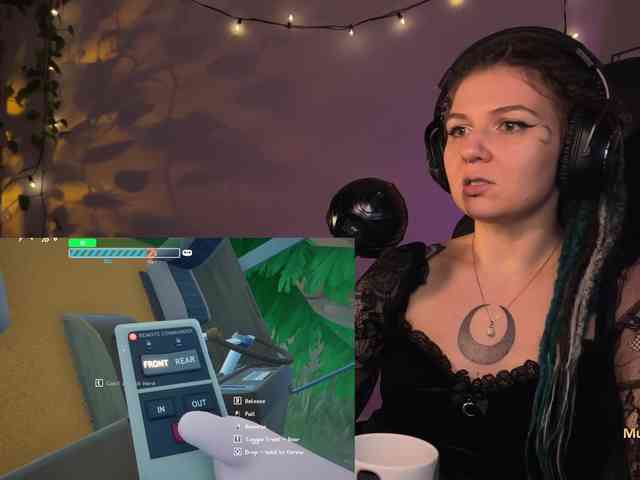 SOVA_tut webcam