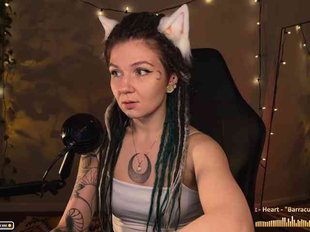 SOVA_tut webcam