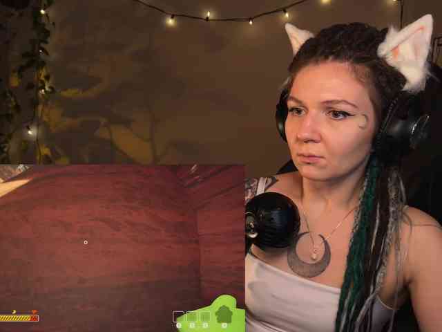 SOVA_tut webcam