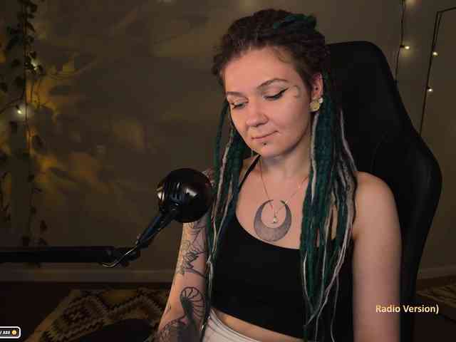 SOVA_tut webcam