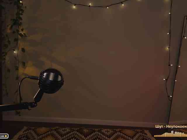 SOVA_tut webcam