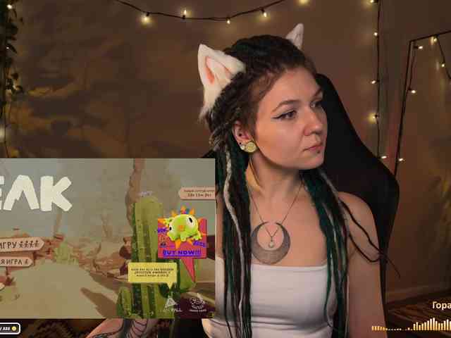 SOVA_tut webcam
