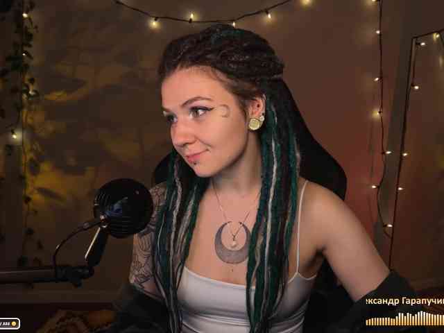 SOVA_tut webcam