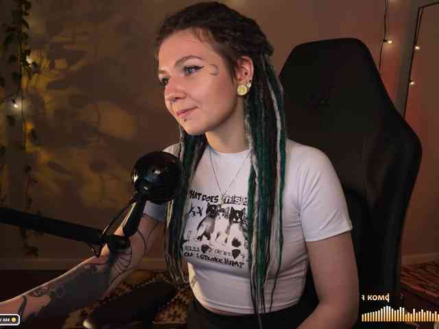 SOVA_tut webcam