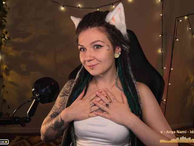 SOVA_tut webcam