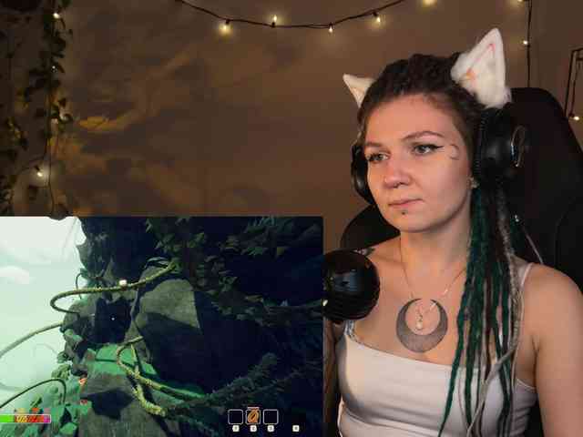 SOVA_tut webcam