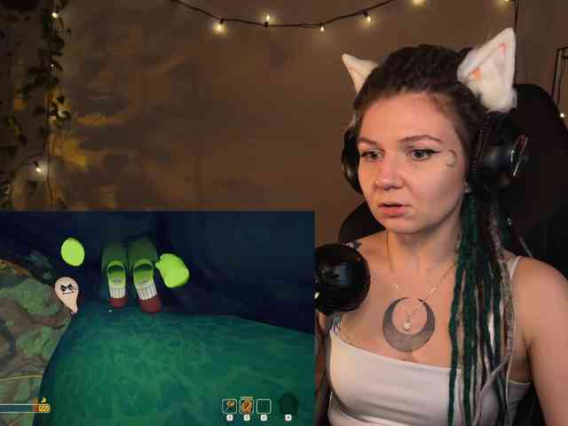 SOVA_tut webcam