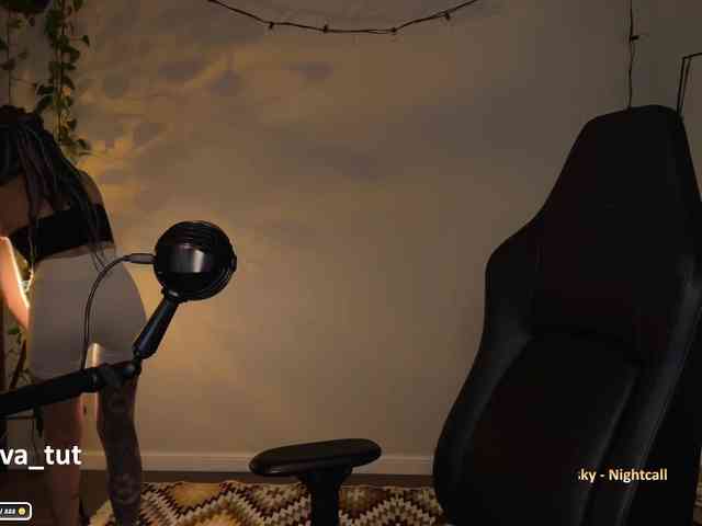 SOVA_tut webcam