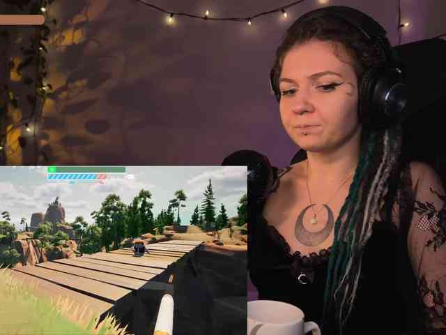 SOVA_tut webcam