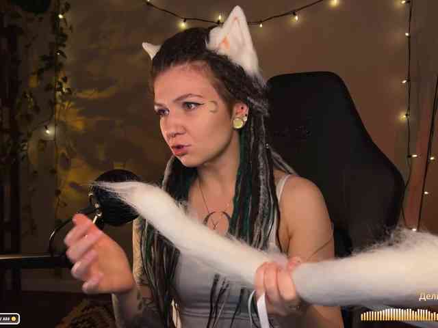 SOVA_tut webcam