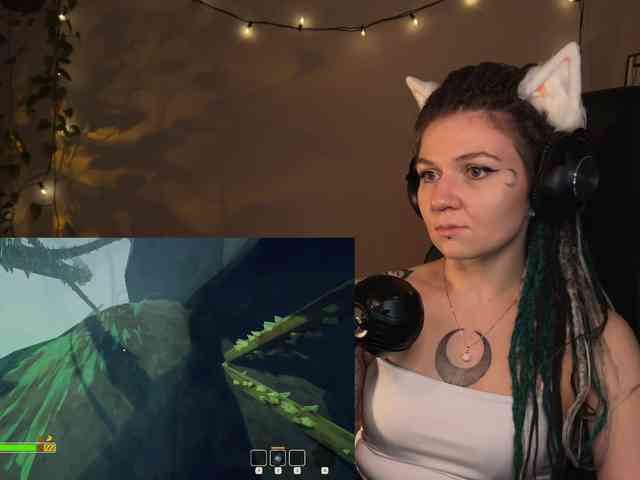 SOVA_tut webcam