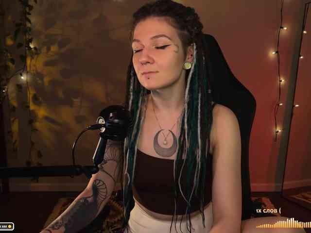 SOVA_tut webcam