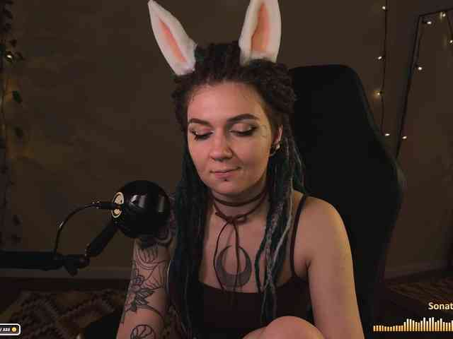 SOVA_tut webcam