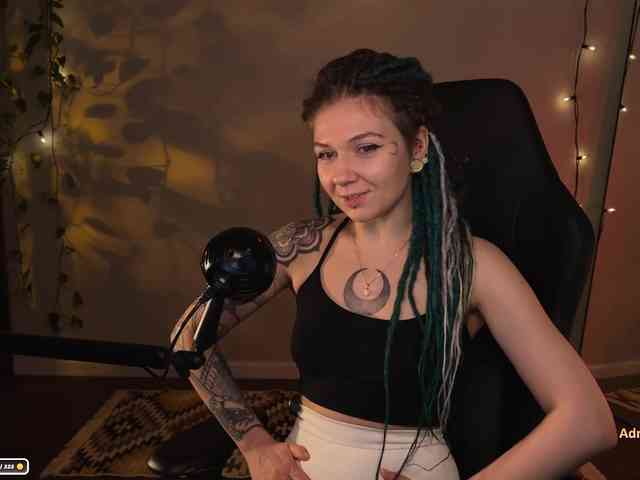 SOVA_tut webcam