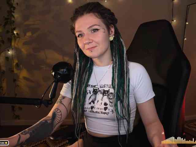 SOVA_tut webcam