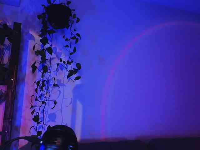 bySOVA webcam