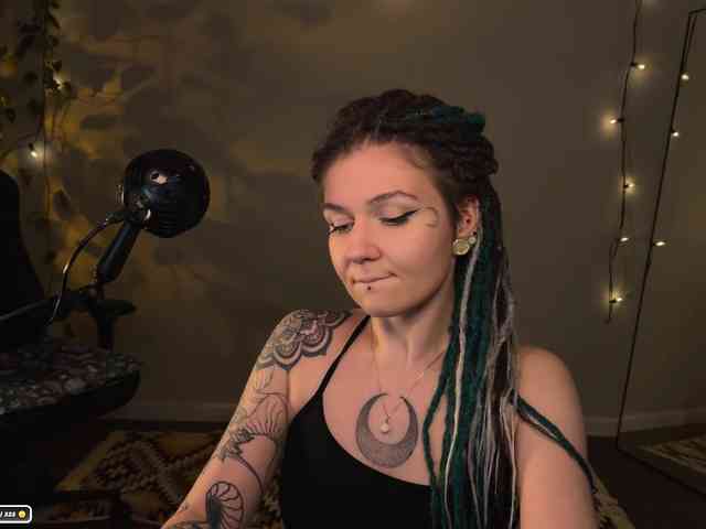 SOVA_tut webcam