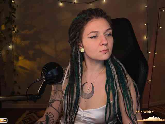 SOVA_tut webcam