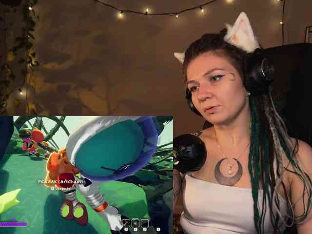 SOVA_tut webcam