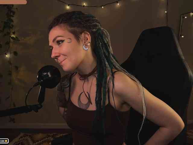 SOVA_tut webcam