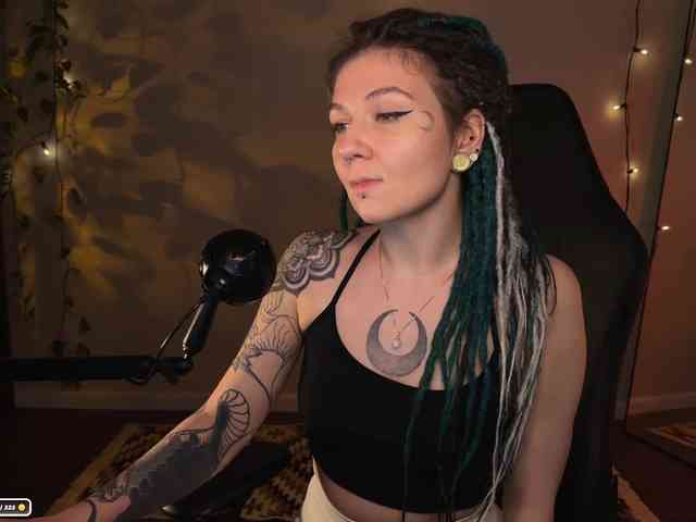 SOVA_tut webcam