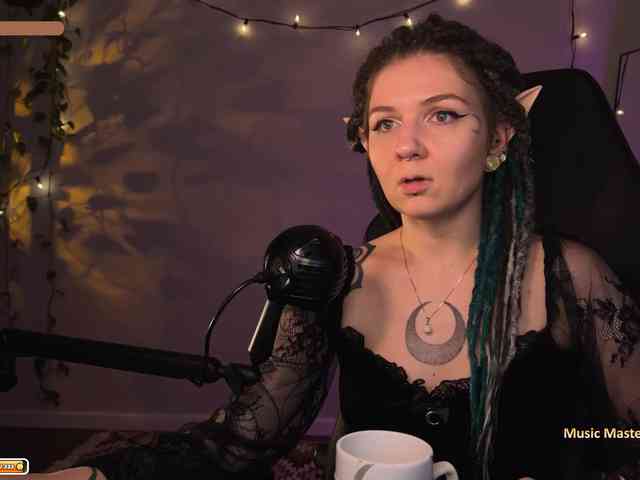 SOVA_tut webcam