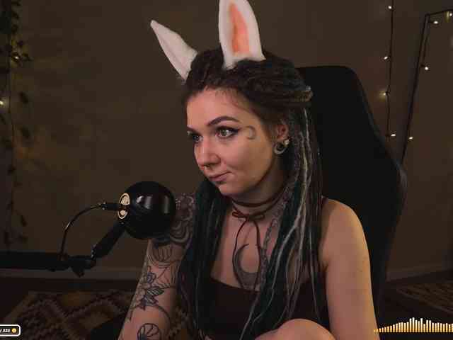 SOVA_tut webcam