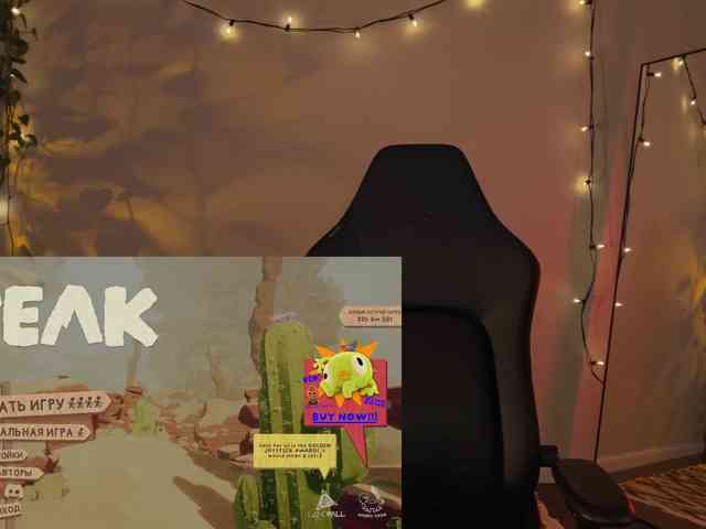 SOVA_tut webcam