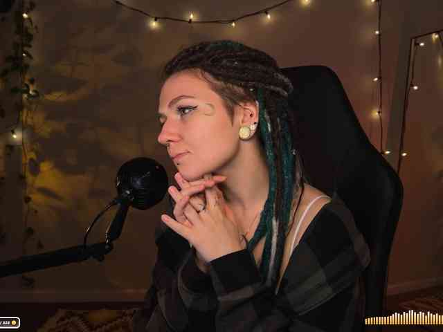 SOVA_tut webcam