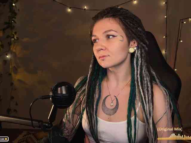 SOVA_tut webcam