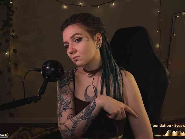SOVA_tut webcam