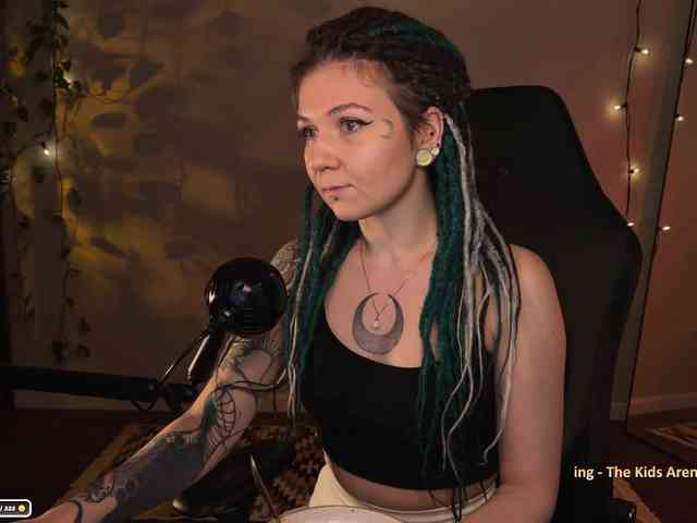SOVA_tut webcam