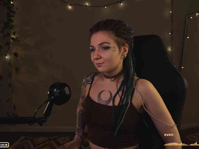 SOVA_tut webcam