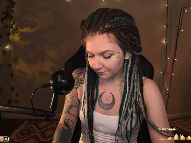 SOVA_tut webcam