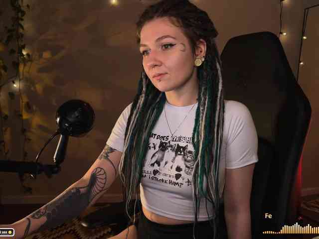 SOVA_tut webcam