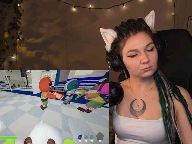 SOVA_tut webcam