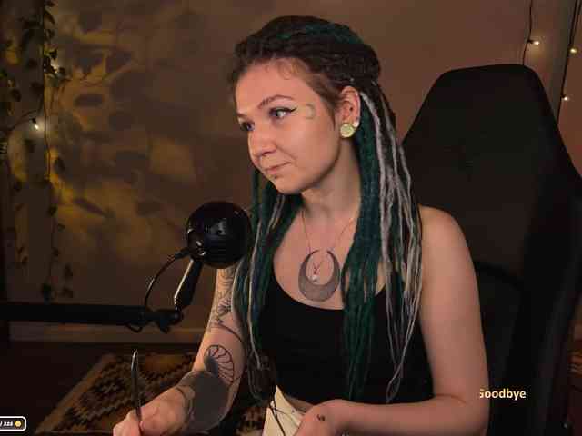 SOVA_tut webcam