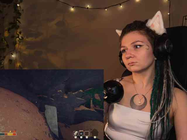 SOVA_tut webcam