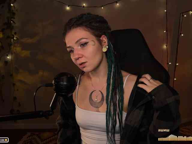 SOVA_tut webcam