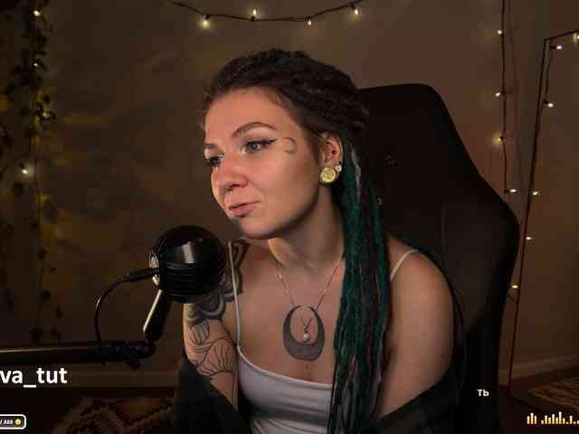SOVA_tut webcam