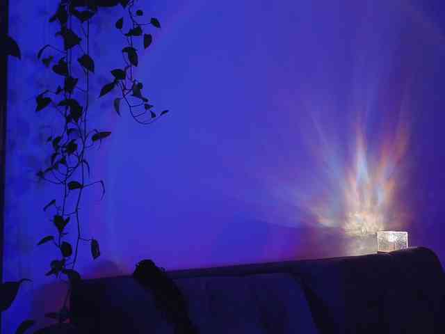 random webcam chat BySOVA