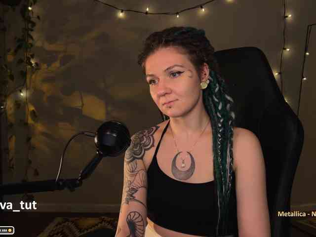 SOVA_tut webcam