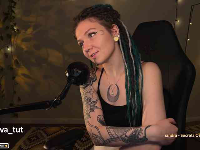 SOVA_tut webcam