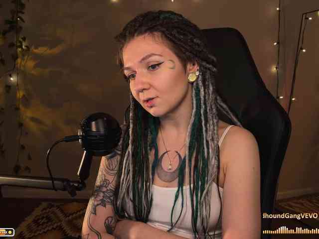 SOVA_tut webcam